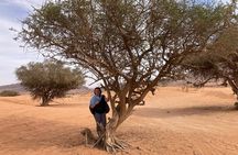 Paradise Valley & Desert Sand Dunes with Camel Ride/lunch tagine