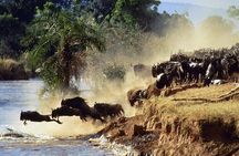 7 Days Safari Masai Mara Nakuru Hells gate and Amboseli Parks