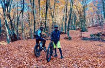 Thessaloniki E-bike Mountain Adventure Tour