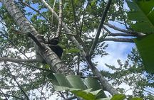 Explore Panama Canal and Gatun Lake with Rainforest Hike