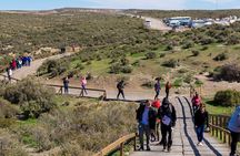 Punta Tombo Shore Tour for NCL Star Passengers in Puerto Madryn