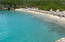 Private guided tour, swim with turtles and visit the best beaches