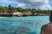 Private Westcoast Beachhop Tour. Turtle beach, grote knip & More