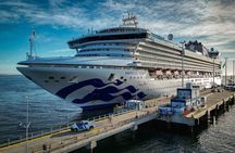 Punta Tombo Shore Tour for Princess passengers in Puerto Madryn