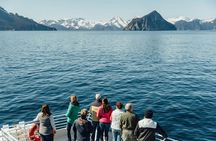 Captain's Choice Kenai Fjords National Park Tour from Seward