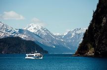 Half-day Resurrection Bay & Wildlife Tour from Seward