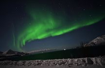 AURORA Northern Lights 8 HOURS Relaxed Moments (8 people)+photos