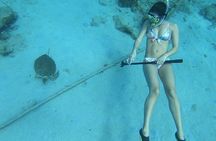 Snorkeling with Sea Turtles 