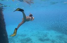Snorkeling with Sea Turtles 