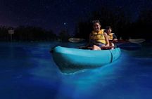 Small Group Bioluminescent Canoe&Twilight Adventure Phang Nga Bay