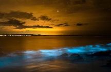 Small Group Bioluminescent Canoe&Twilight Adventure Phang Nga Bay