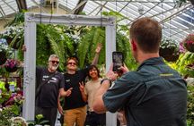 Melbourne City Highlights Small Group Tour