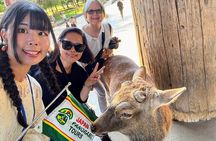 Morning Wonder World Heritage Nara Guided Tour