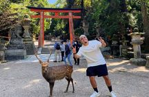 Morning Wonder World Heritage Nara Guided Tour