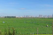 10 Stop Phnom Penh Tour by Tuk-Tuk, includes S21 & Killing Fields