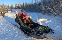 Alaskan Husky Dog Sledding at Yellowknife Enodah Kennel 