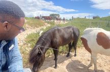 Beach Horse Ride - Hotel Pickup & drop-off included. CAPE TOWN
