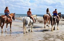 Beach Horse Ride - Hotel Pickup & drop-off included. CAPE TOWN