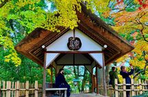 Kanazawa Half Day Private Tour - Castle, Garden, Geisha District