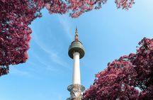 Seoul Bespoke Chauffeur:100% Custom Sightseeing Tour