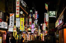 Seoul Bespoke Chauffeur:100% Custom Sightseeing Tour