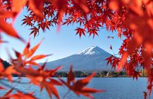 Mount Fuji Full Day Tour form Tokyo Lake Kawaguchi & Yamanaka