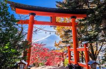 Mount Fuji Full Day Sightseeing Tour from Tokyo