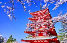 Mount Fuji Full Day Sightseeing Tour from Tokyo