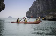 Halong Bay Two Days One Night Tour from Hanoi 