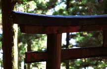 Hiking Kyoto's Highest Mountain: Unravel the Mystery of Mt. Atago