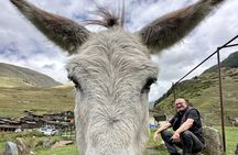 Your Tusheti Experience Awaits - Local Guides, Unforgettable Tour