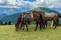 Guaranteed 4 days Group Tours in Tusheti - Departure Every Monday