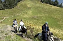 Your Tusheti Experience Awaits - Local Guides, Unforgettable Tour