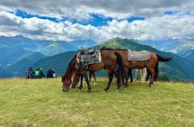 Your Tusheti Experience Awaits - Local Guides, Unforgettable Tour