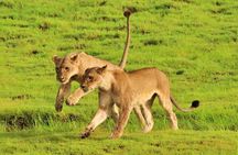 4 Days 3 Nights Victoria Falls Scenic Zambezi Highlights Trip