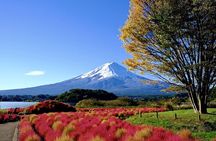 Mount Fuji Full Day Customized Private Tour with English Guide