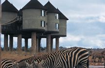 2 Days Salt Lick Safari Tour