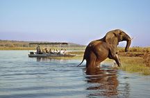 5 Days - Classic Victoria Falls & Chobe National Park Safari Trip