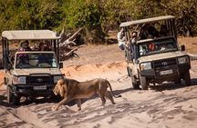 5 Days - Classic Victoria Falls & Chobe National Park Safari Trip