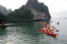 2 Days and 1 Night Cruise Tour in Bai Tu Long Bay 