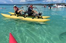 Chiliboats Waterbike Eco-Tour Adventure in La Parguera