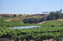 Voted #1 Top Trolley Wine Tasting Tour