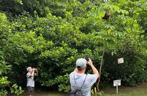 Roatan Eco Caribbean Culture Park and Beach 