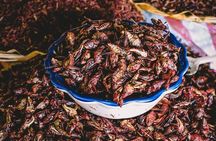 Culture, History and Food in Oaxaca City 