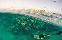 Sharm El Luli Beach Day Tour from Marsa Alam