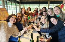 Wine Enthusiasts - Bodega Bouza Experience! 