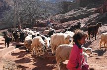 High Atlas, Imlil Valley and Waterfalls Tour from Marrakesh