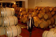 Wine Enthusiasts - Bodega Bouza Experience! 