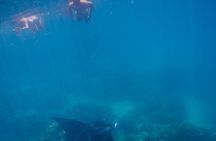 Full Day Combo Snorkeling with Buffet and Bora Bora ATV Tour