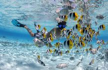 Full Day Combo Snorkeling with Buffet and Bora Bora ATV Tour